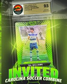 Tal Williams
